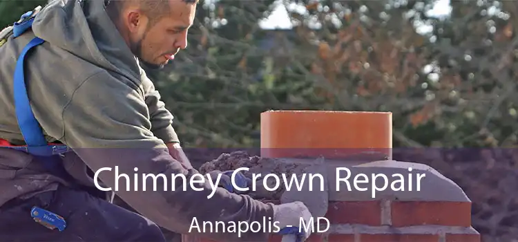  Chimney Crown Repair Annapolis - MD